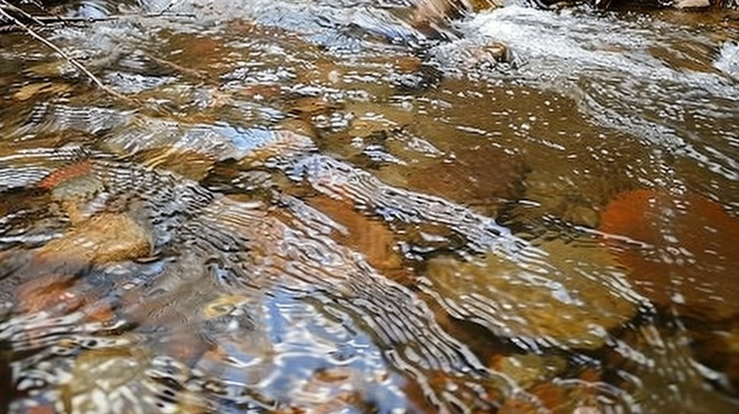 Serene Stream with Multicolored Stones