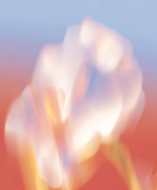 Ethereal Abstract Blur