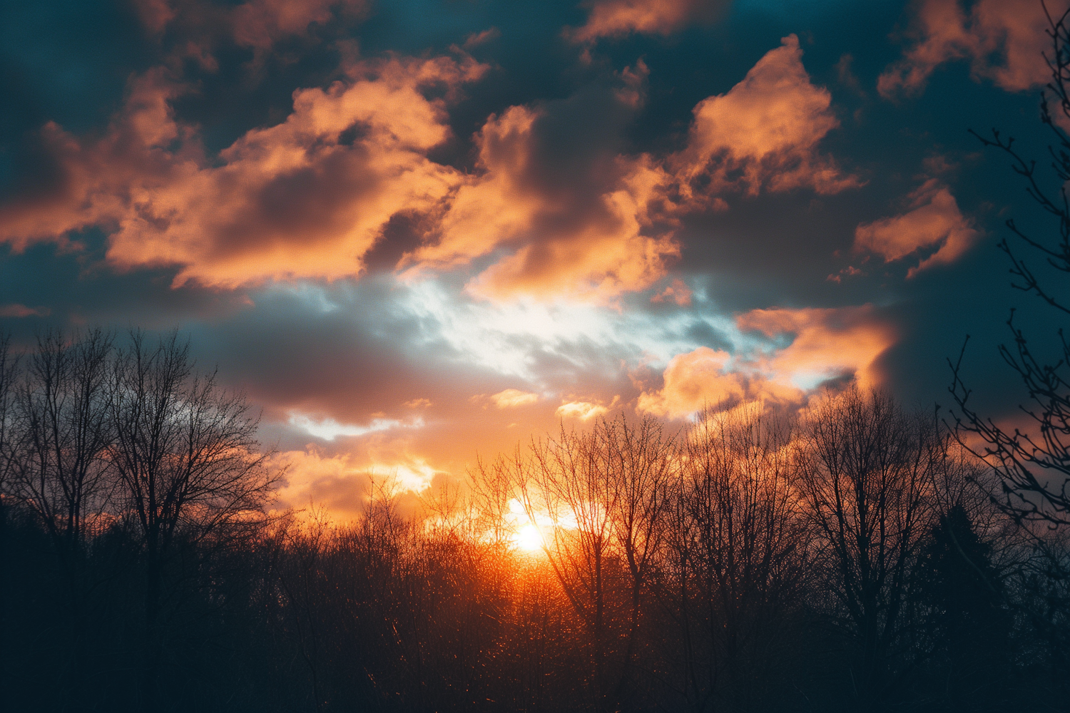 Vivid Sunset and Forest Silhouette