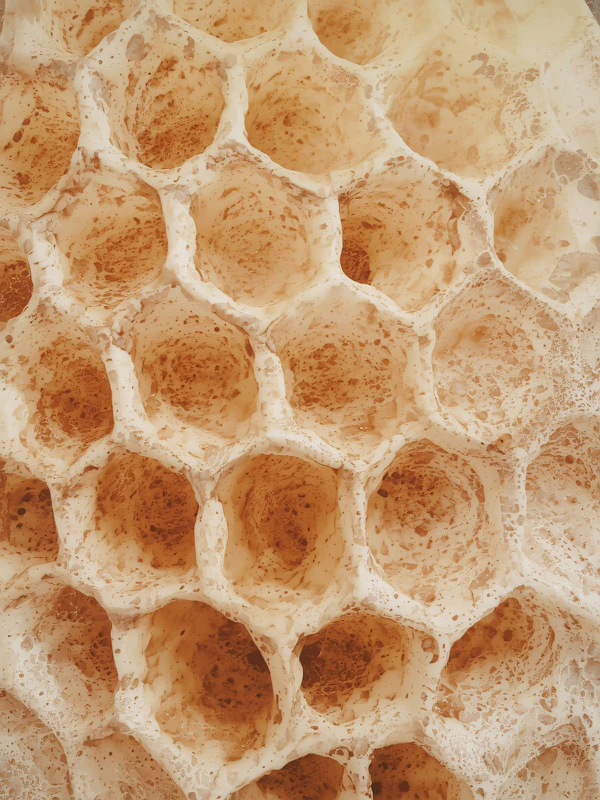 Honeycomb Close-Up
