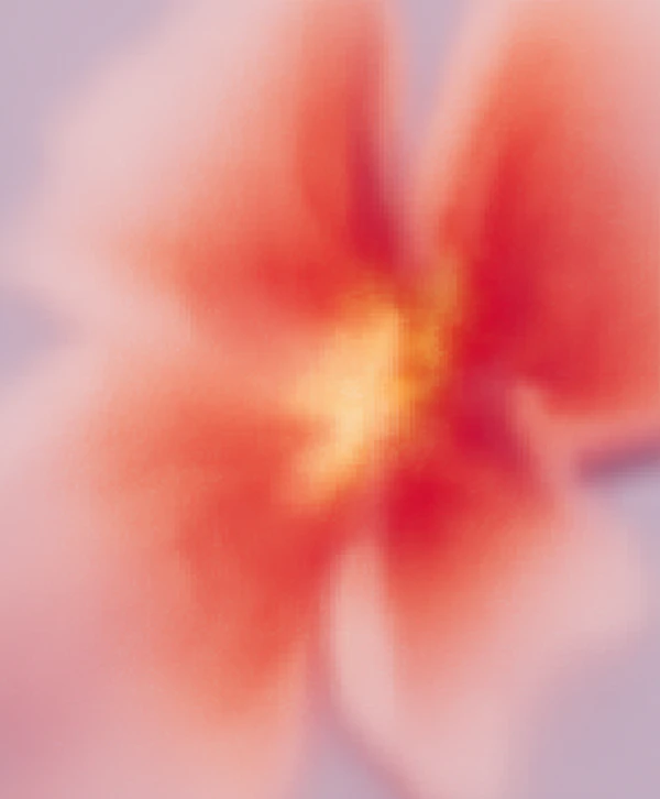Abstract Flower Blur
