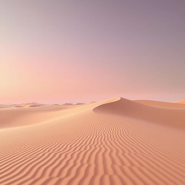 Serene Desert Sunset