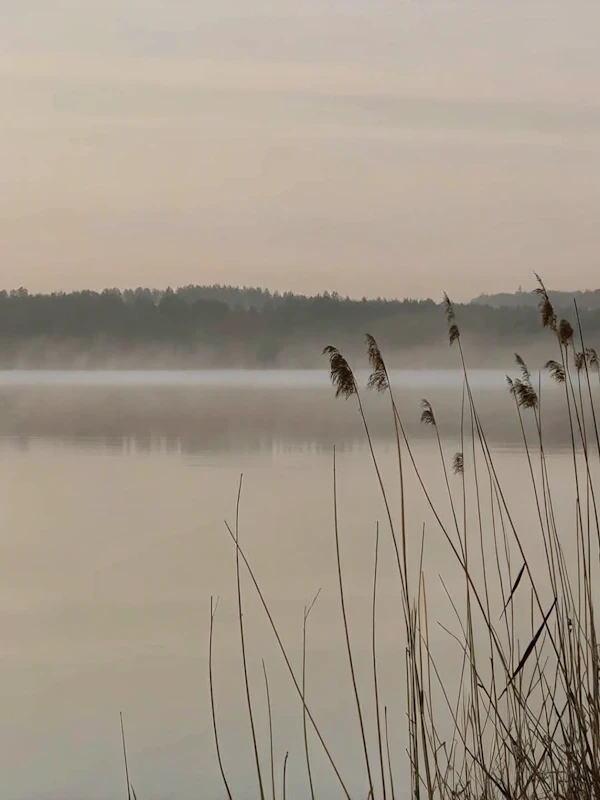 Serene Lakeside Scene