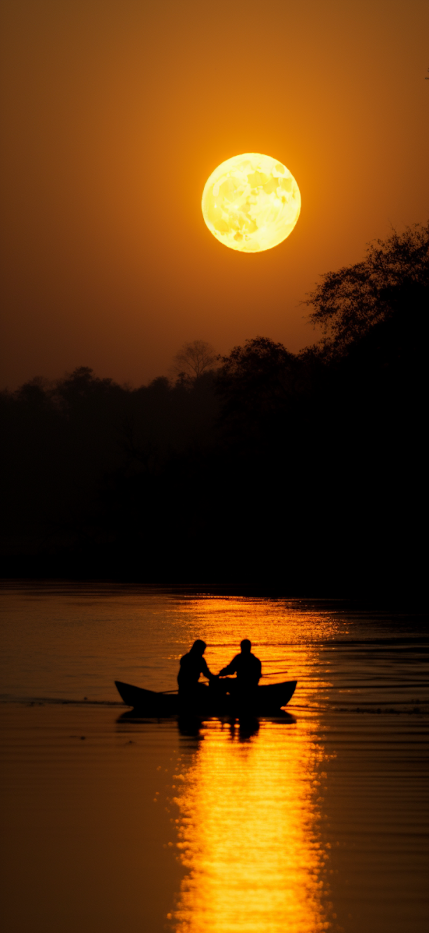 Golden Serenity: A Tranquil Dawn/Dusk Voyage