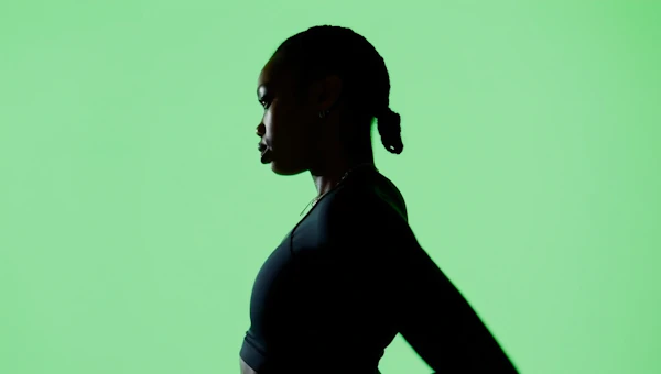 Silhouette Profile Art