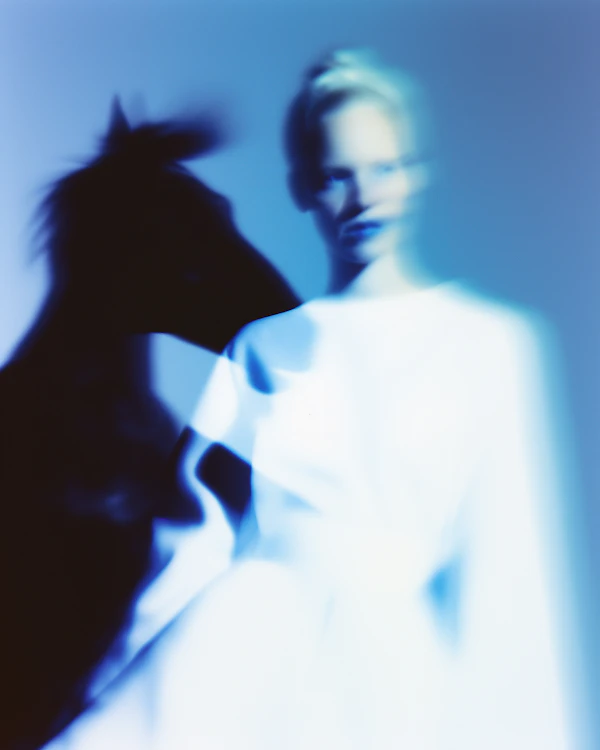 Abstract Human & Horse