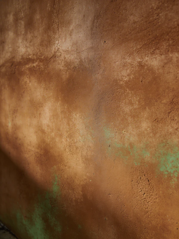 Textured Wall Close-Up