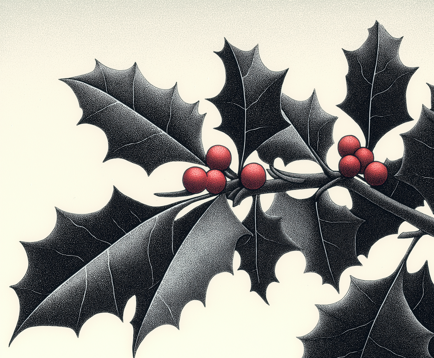 Holly Leaves and Berries