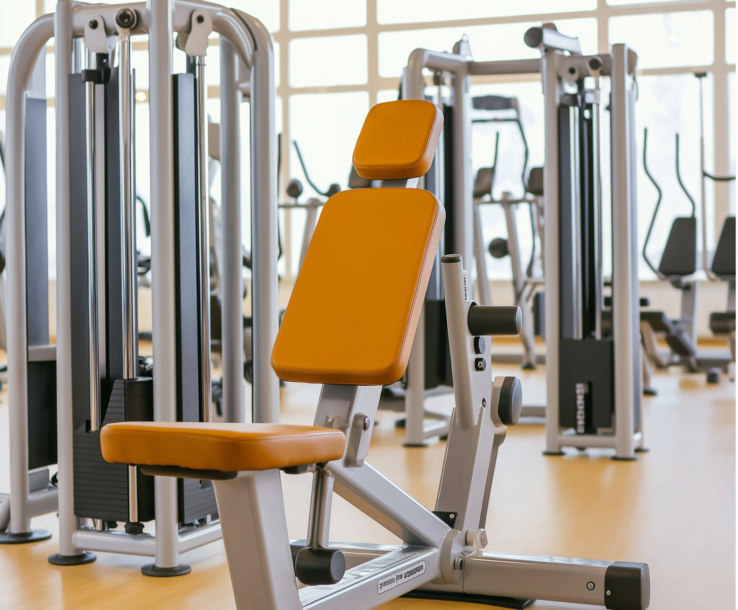 Modern Gym Interior