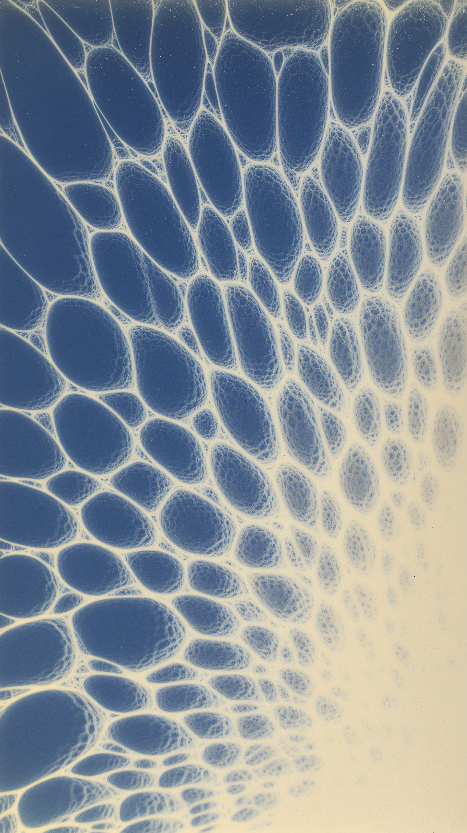 Abstract Cellular Pattern