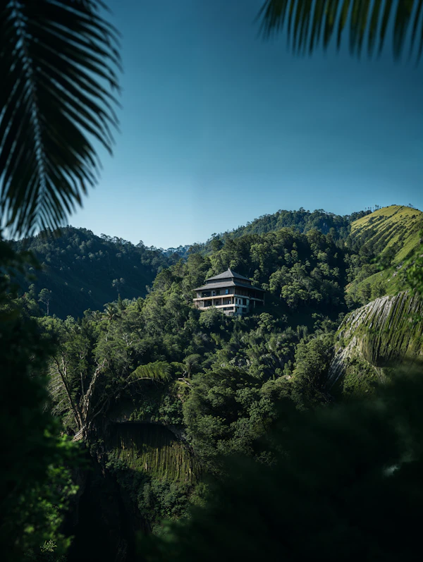 Forest Hillside Retreat