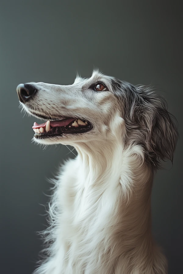 Elegant Dog Portrait
