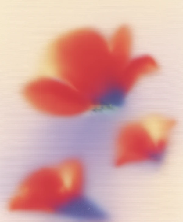 Abstract Floral Art