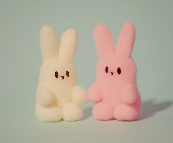 Felted Bunny Companions