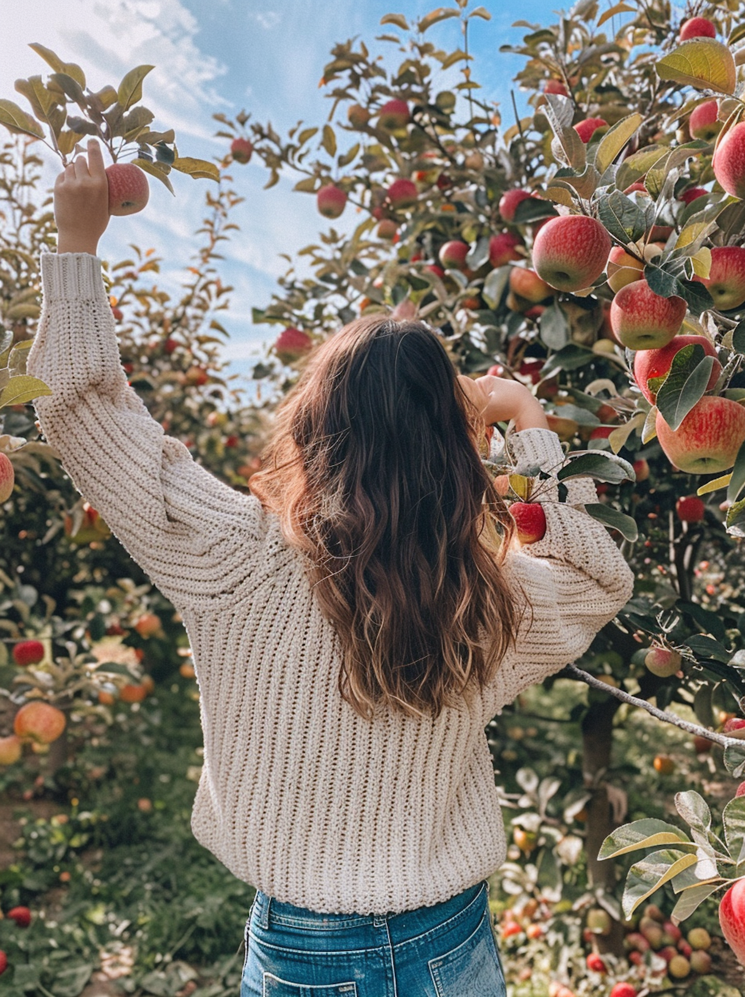 Woman Apple Picking in Orchard