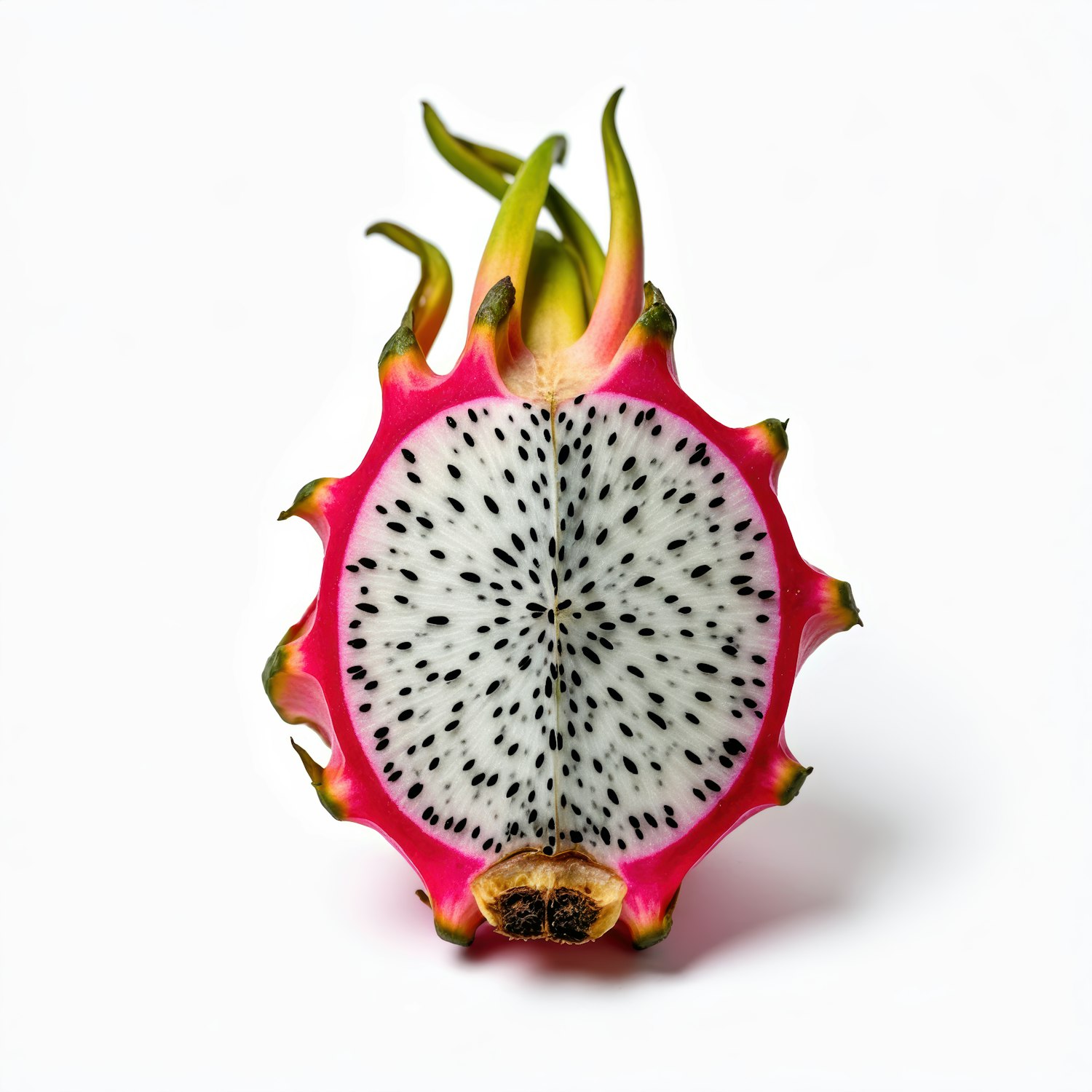 Dragon Fruit on White Background