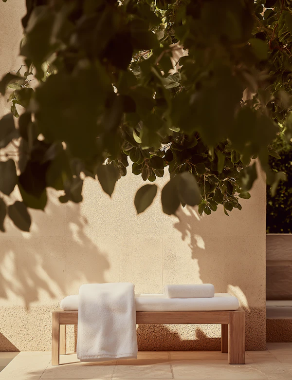 Serene Outdoor Bench
