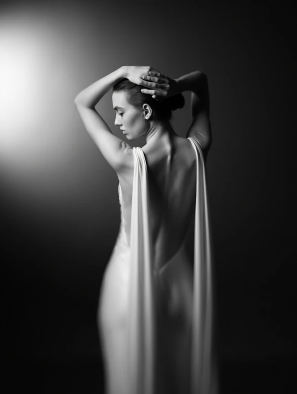 Elegant Silhouette Pose