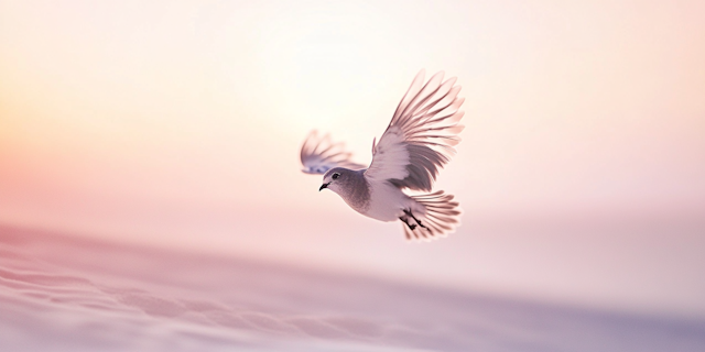 Bird in Flight at Sunrise