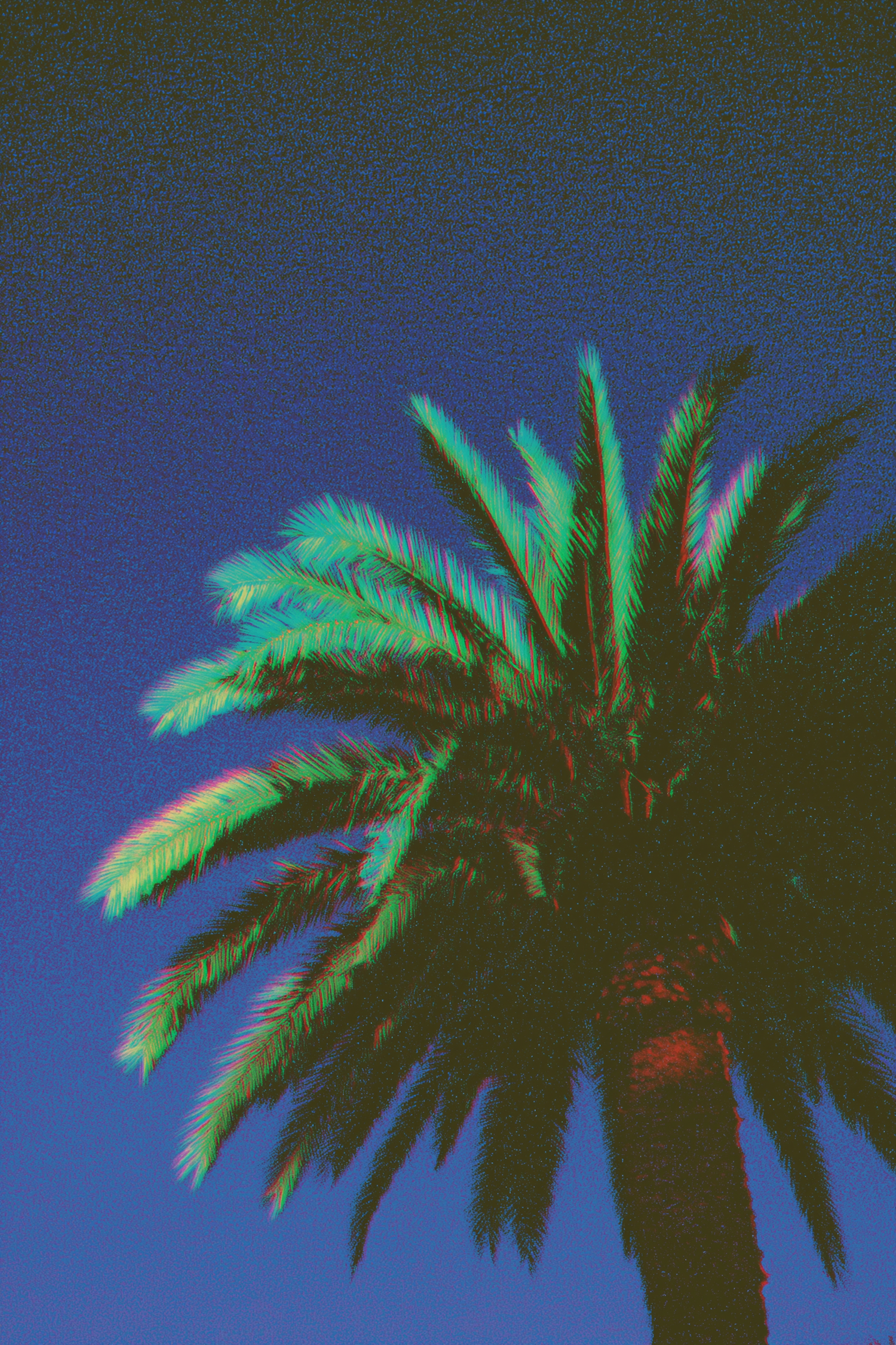 Colorful Glitch Palm Night Scene