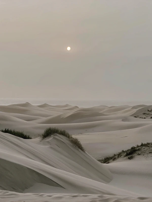 Serene Sand Dunes
