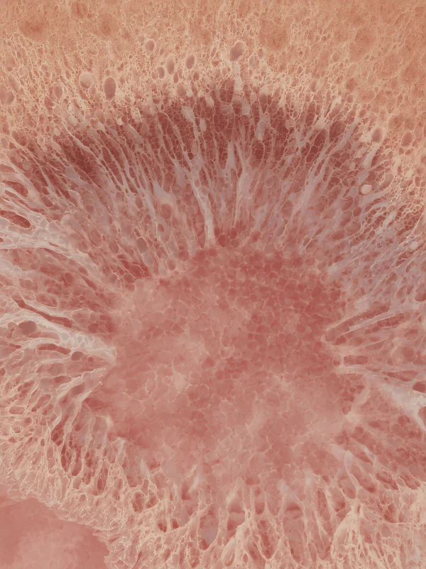Organic Texture Close-Up