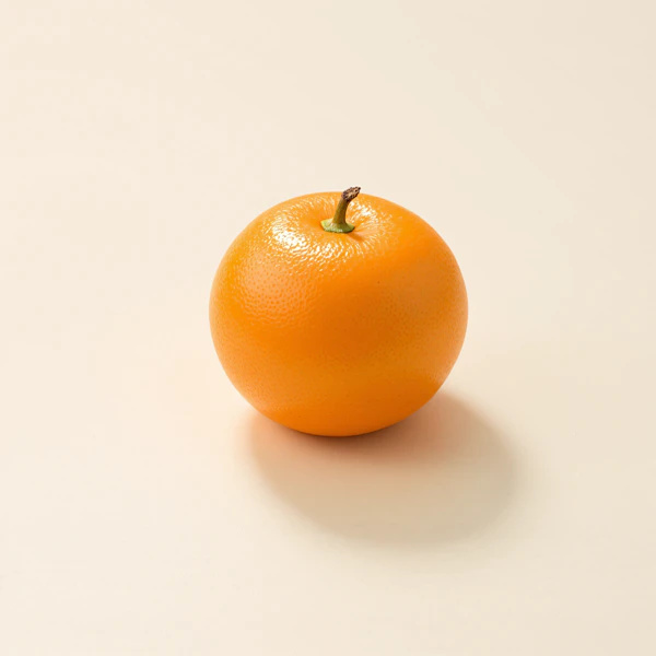 Vibrant Orange Still Life