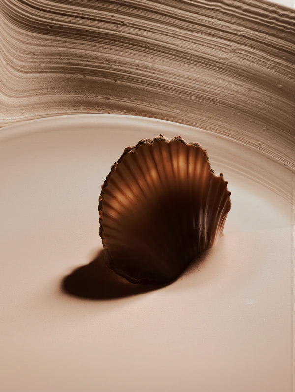 Glowing Scallop Shell