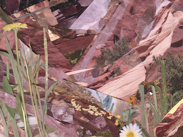 Nature Collage Artwork