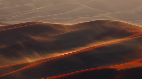 Golden Desert Dunes