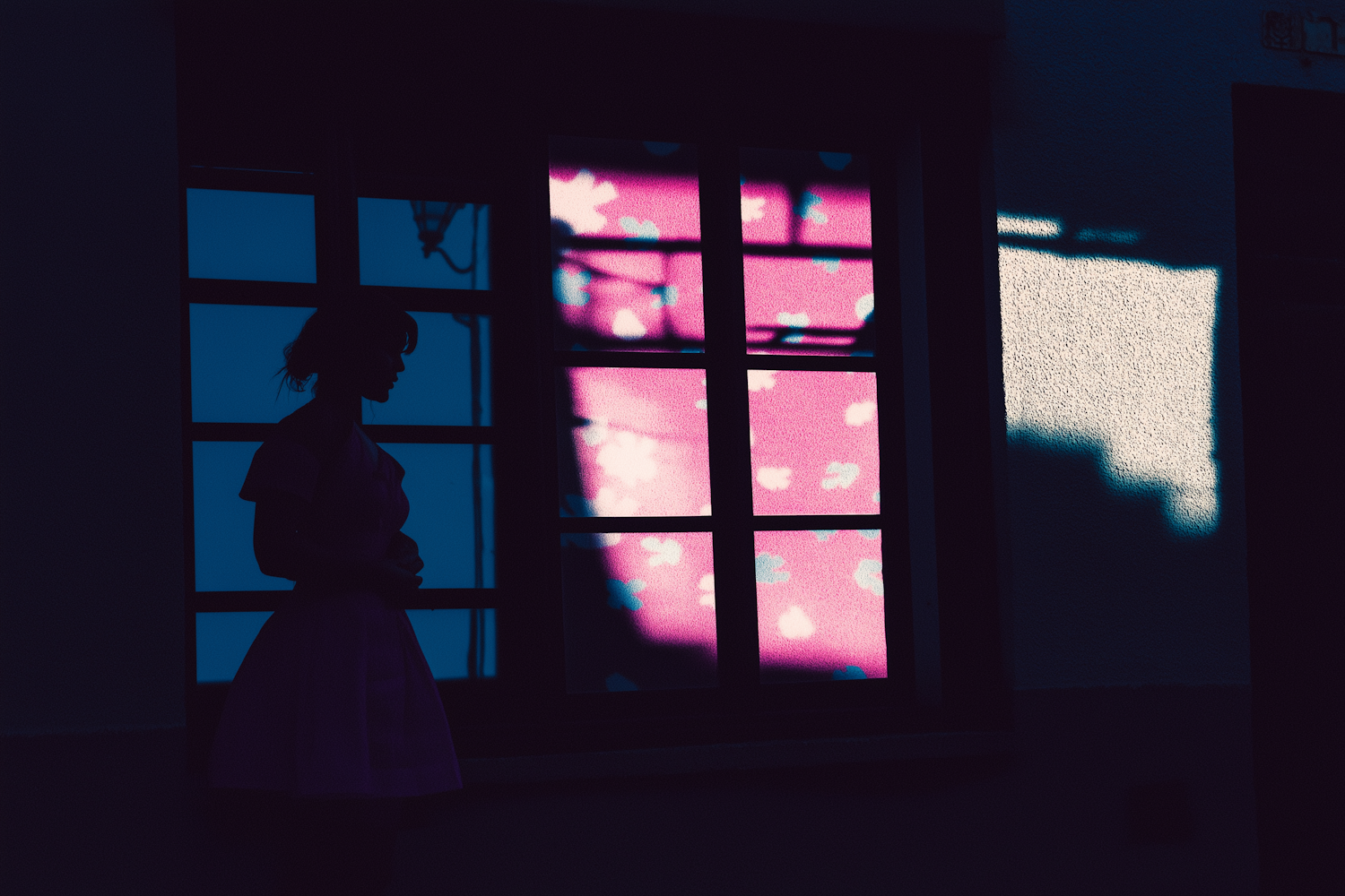 Silhouette Against Vibrant Window