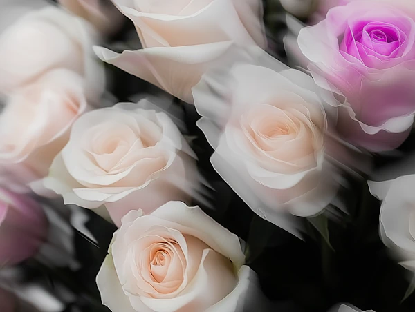Dreamy Rose Bouquet