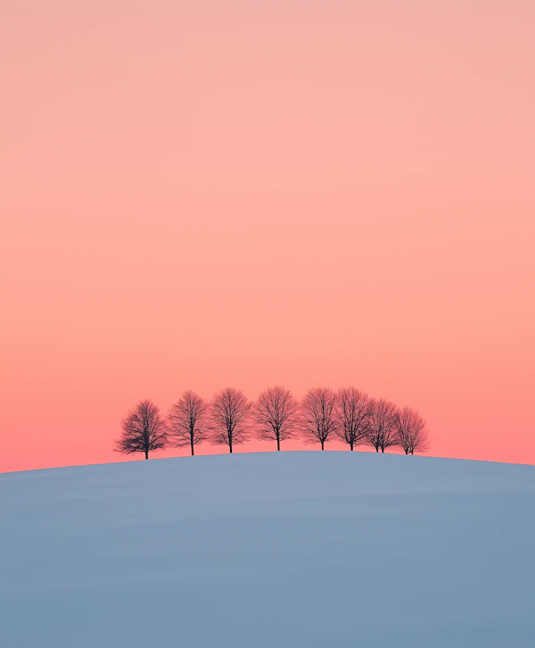 Serene Snowy Landscape at Sunrise/Sunset