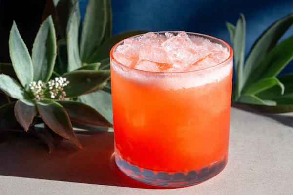 Orange Cocktail Display
