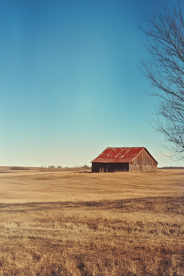 Rustic Barn in Field