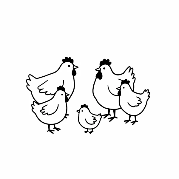 Cartoon Chicken Family