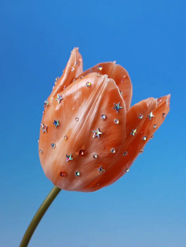 Embellished Orange Tulip