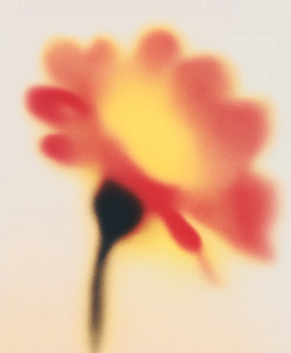 Abstract Flower Art
