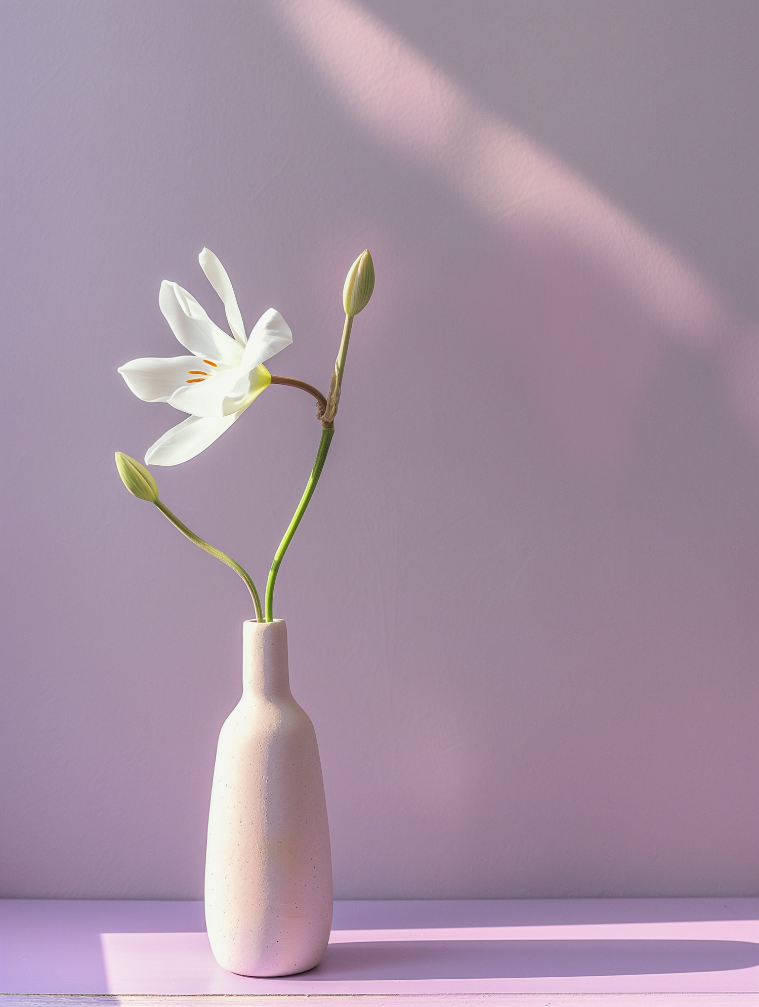 Minimalist Ceramic Vase with White Flowers