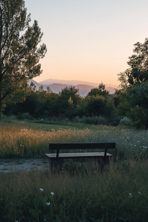 Serene Sunset Solitude