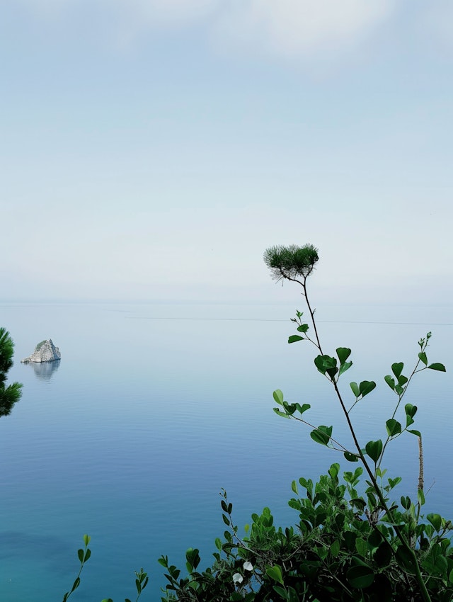 Serene Natural Landscape with Water and Plant