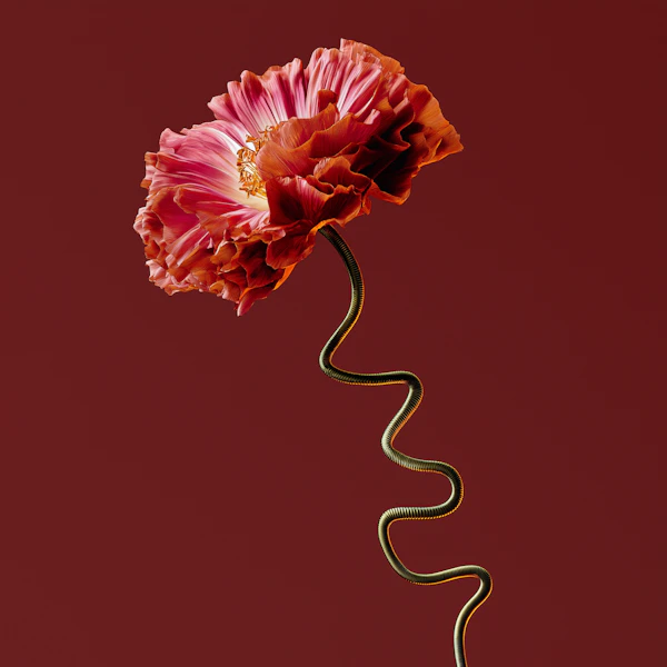 Vivid Flower Close-Up