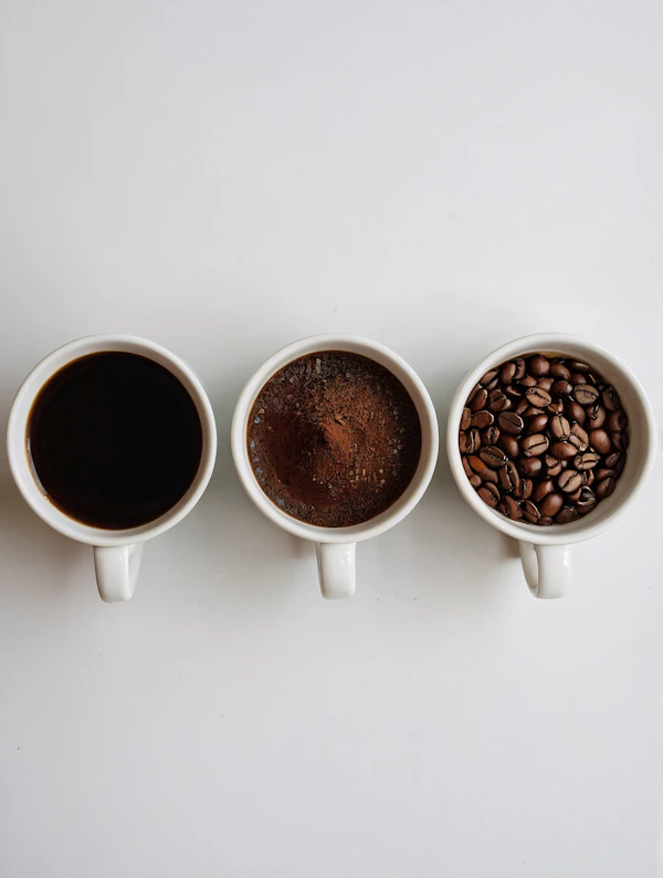 Coffee Stages Display