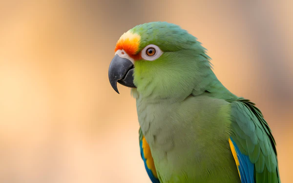 Vibrant Green Parrot