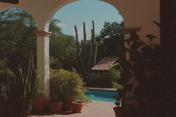 Serene Outdoor Patio