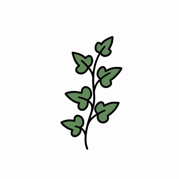 Heart-Leaf Vine Art