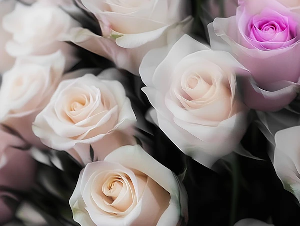 Pastel Rose Bouquet