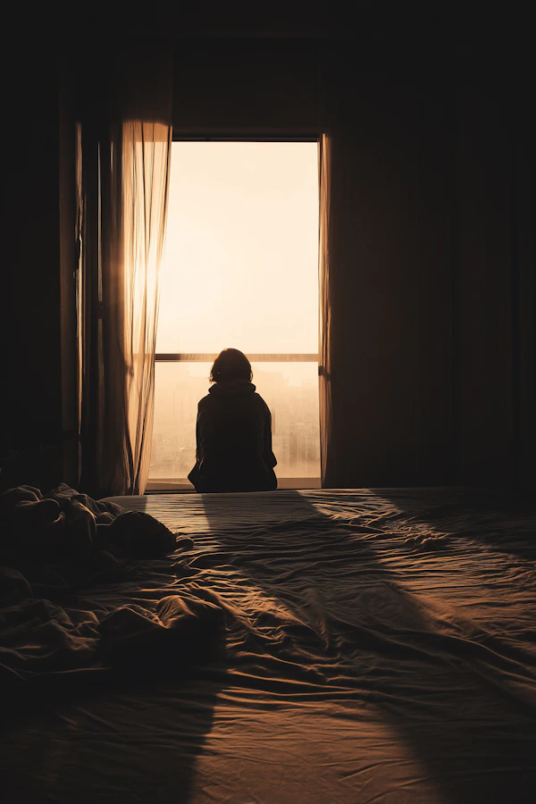 Silhouette by Window