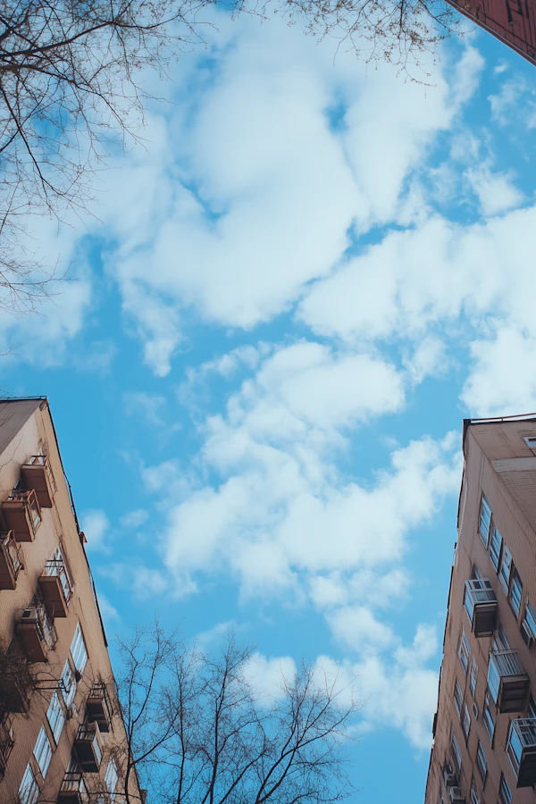 Urban Sky View
