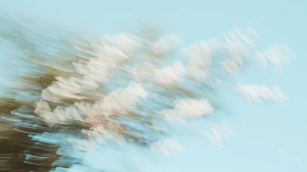 Abstract Blossoming Tree